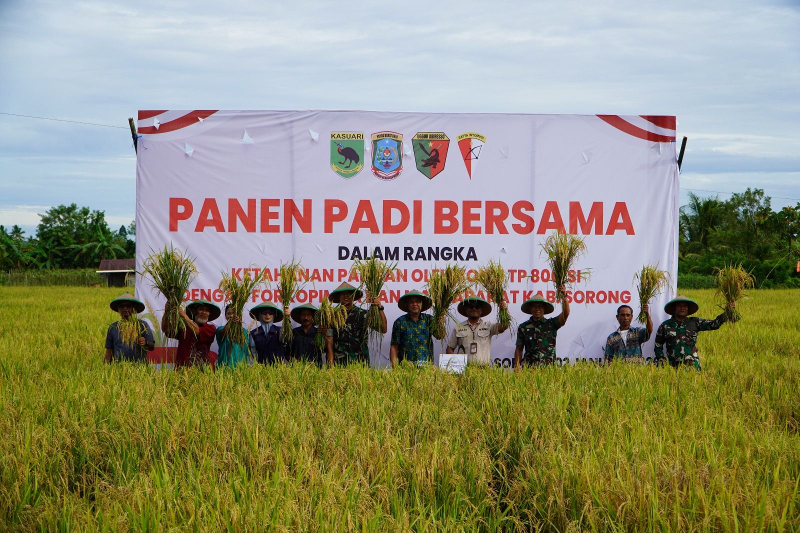 Yonif TP 806/SI Bersama Forkopimda Kab. Sorong Laksanakan Panen Padi : Sinergi TNI dan Pemda, Perkuat Ketahanan serta Kemandirian Pangan