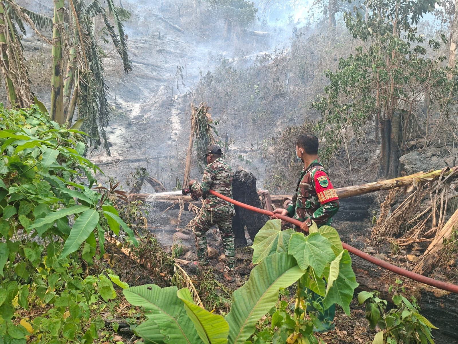 Gerak Cepat TNI dan Warga Padamkan Kebakaran Lahan di Momiwaren